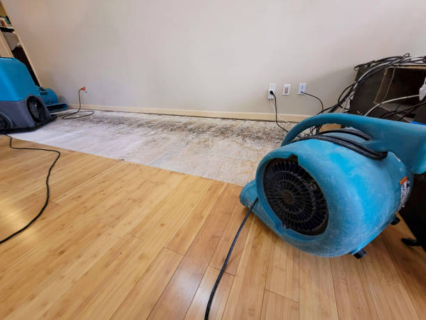 Professional Structural Drying technician working in Cokato, MN